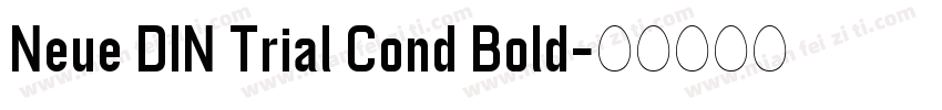 Neue DIN Trial Cond Bold字体转换